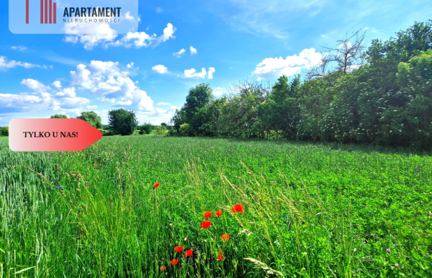 Tylko u nas !!! Działki ze stawem.