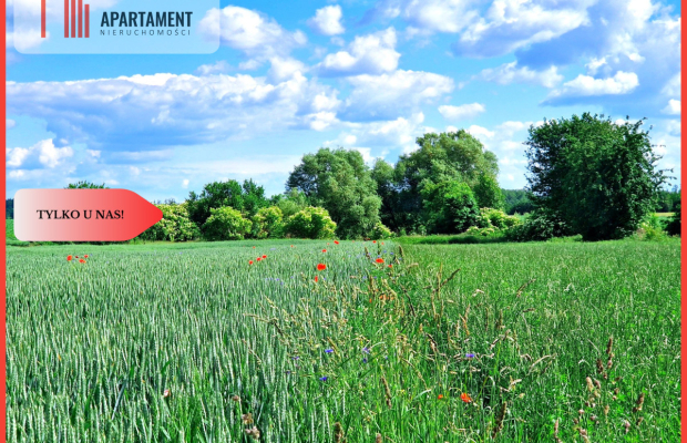 Tylko u nas !!! Działki ze stawem.