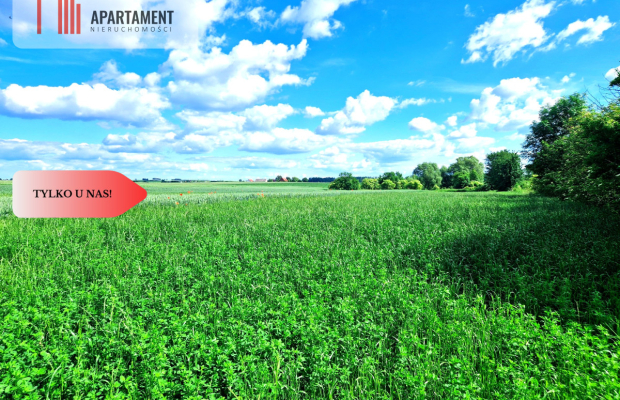 Tylko u nas !!! Działki ze stawem.