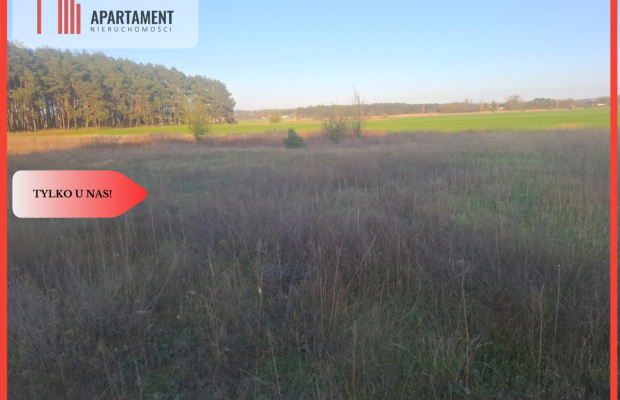 TYLKO U NAS !!! ATRAKCYJNA DZIALKA WSRÓD LASU