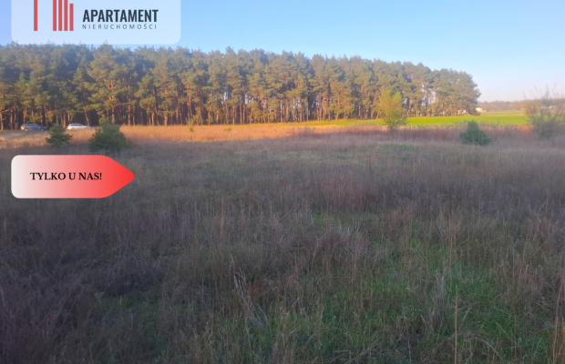 TYLKO U NAS !!! ATRAKCYJNA DZIALKA WSRÓD LASU