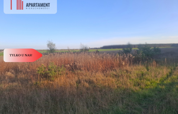 TYLKO U NAS !!! ATRAKCYJNA DZIALKA WSRÓD LASU