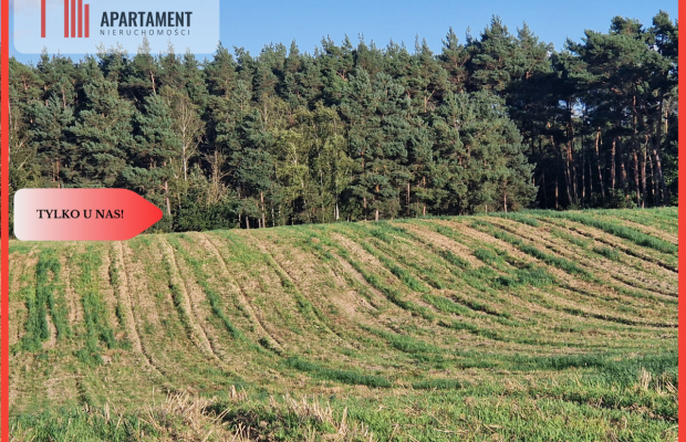 Działka z linią brzegową jeziora, wydane WZ