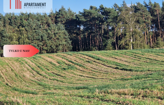 Działka z linią brzegową jeziora, wydane WZ
