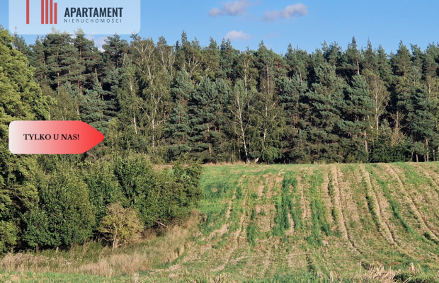 Działka z linią brzegową jeziora, wydane WZ