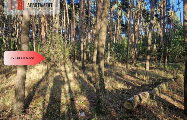 Działka z linią brzegową jeziora, wydane WZ