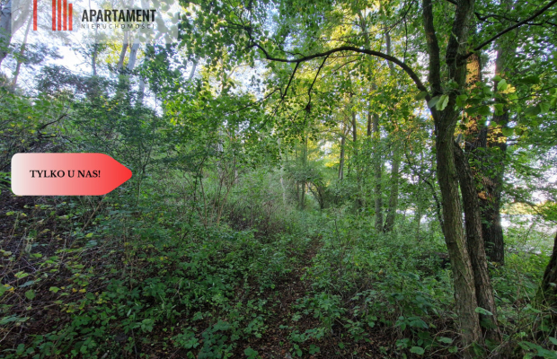 Działka z linią brzegową jeziora, wydane WZ