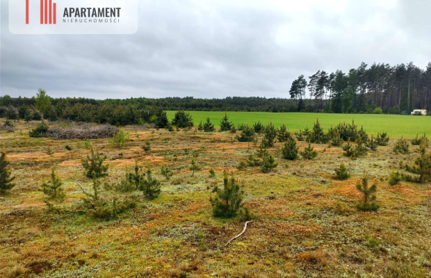 Dziesięć działek na twój wymarzony dom.