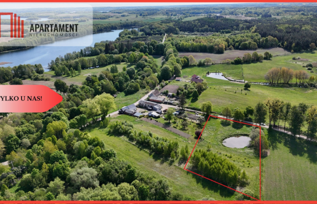 IVa klasa z własnym stawem