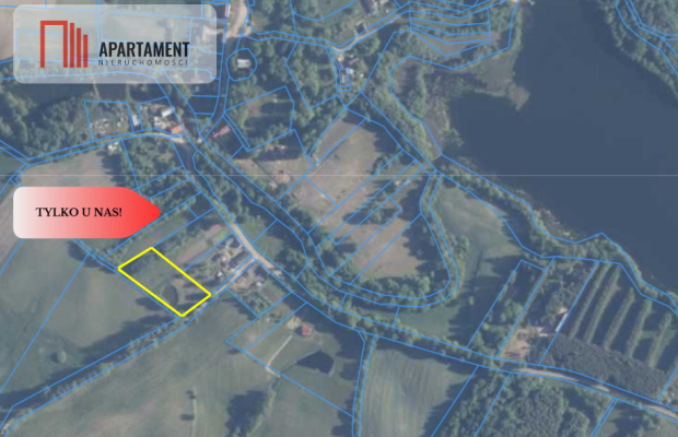 IVa klasa z własnym stawem