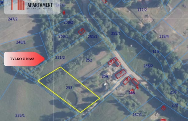 IVa klasa z własnym stawem