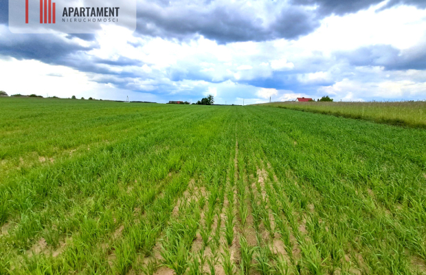 Duże działki do podziału lub inwestycji !!!