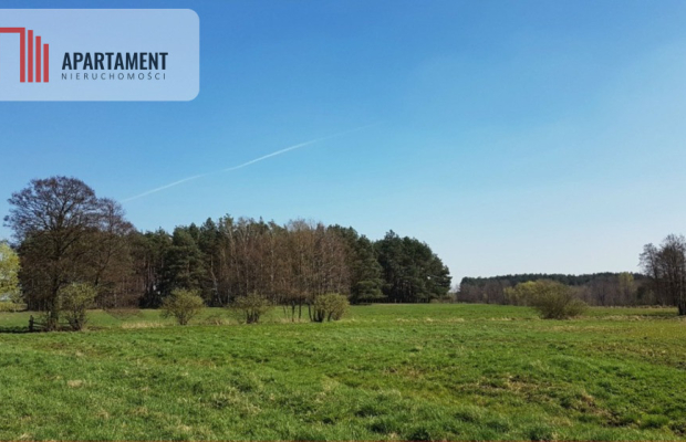 Idealna działka dla ceniących spokój