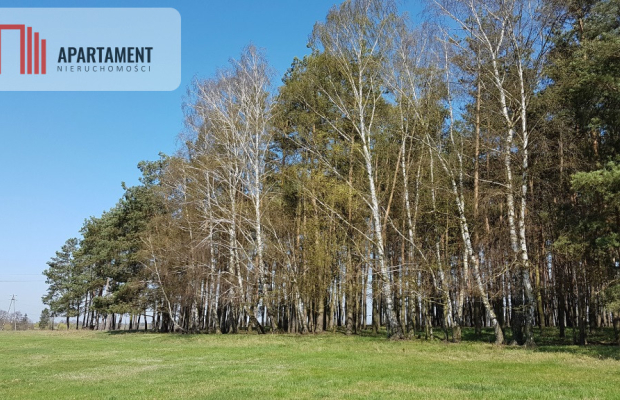 Idealna działka dla ceniących spokój