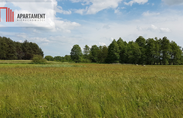 Idealna działka dla ceniących spokój