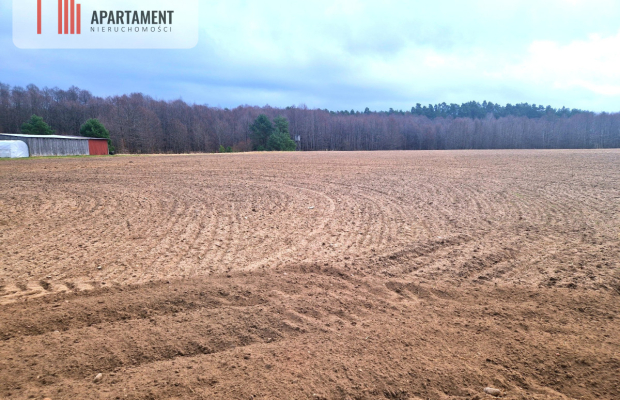 Działki w pobliżu rzeki Prusiny idealne pod dom