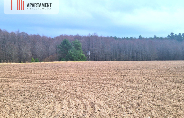 Działki w pobliżu rzeki Prusiny idealne pod dom