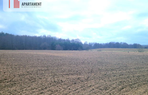 Działki w pobliżu rzeki Prusiny idealne pod dom