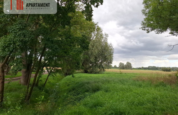 Nietuzinkowa działka pod inwestycję.