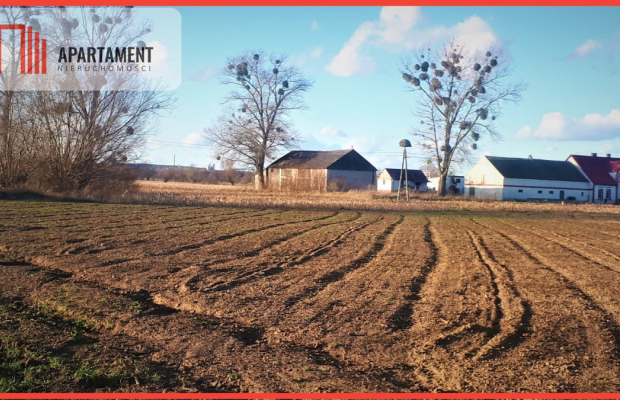 DUŻA działka 5 minut od Świecia, kwadrat !