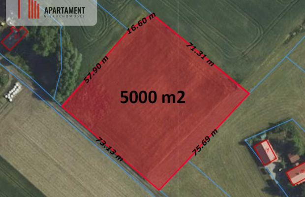 DUŻA działka 5 minut od Świecia, kwadrat !