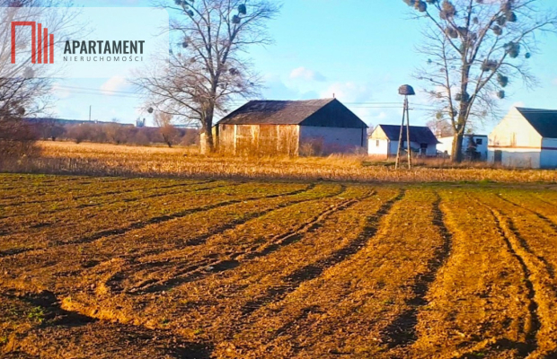 DUŻA działka 5 minut od Świecia, kwadrat !