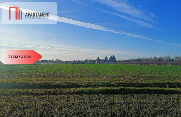 Działka 40 arów Lutynia