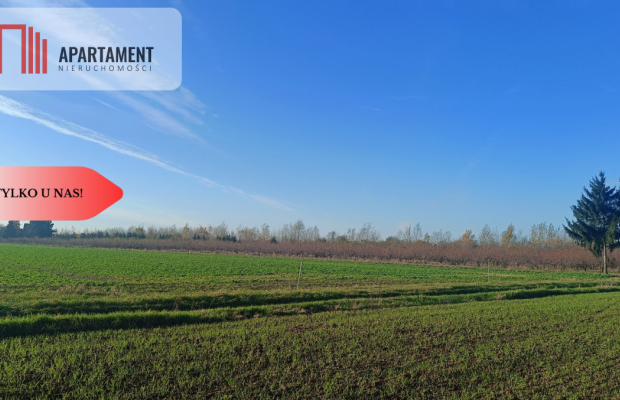 Działka 40 arów Lutynia