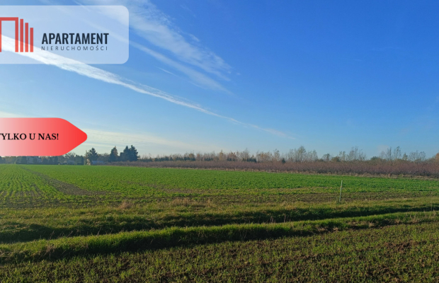 Działka 40 arów Lutynia