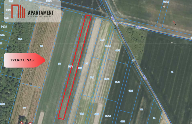 Działka 40 arów Lutynia