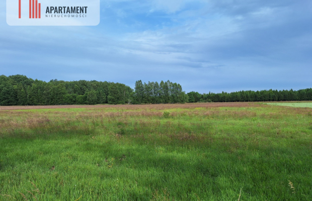 Działka inwestycyjna pod STACJĘ PALIW! Dobra cena