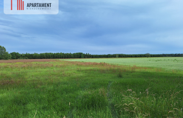 Działka inwestycyjna pod STACJĘ PALIW! Dobra cena