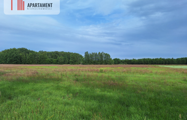 Działka inwestycyjna pod STACJĘ PALIW! Dobra cena