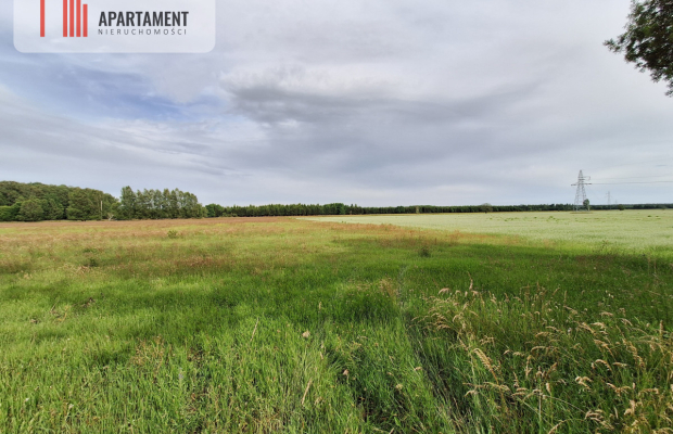Działka inwestycyjna pod STACJĘ PALIW! Dobra cena