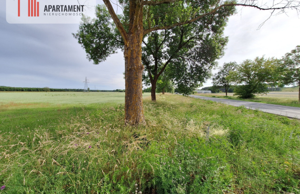 Działka inwestycyjna pod STACJĘ PALIW! Dobra cena