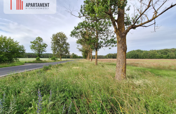 Działka inwestycyjna pod STACJĘ PALIW! Dobra cena