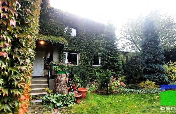 Julianów - 2 domy (350 m2 i 300 m2)