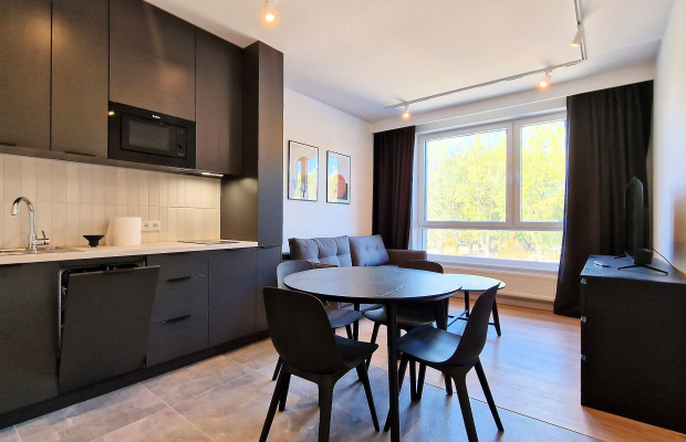 Centrum - do wynajęcia studio w Manu Park Ogrodowa