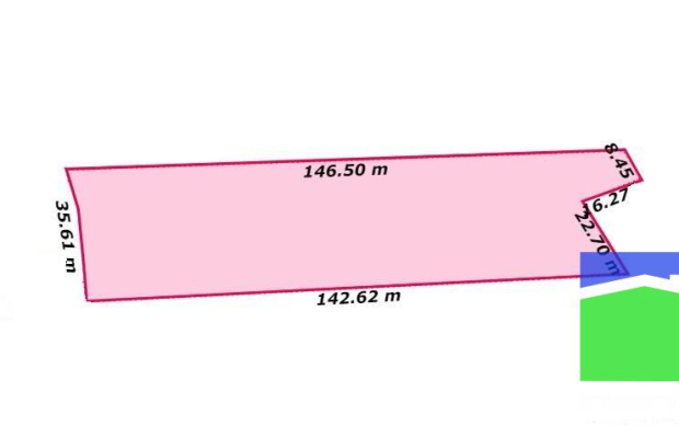 Turek (gm. Malanów, Grąbków) - pow. 4900 m2