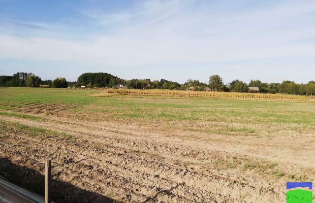 Karsznice - grunt inwestycyjny o pow. 7,5 ha