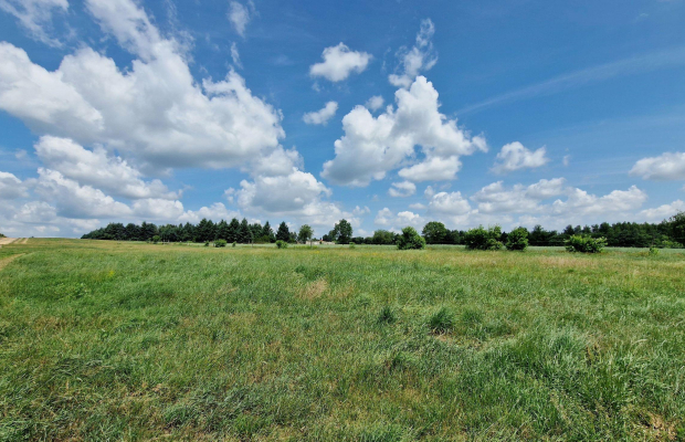 Widzew - działka budowlana z PnB o pow. 1100 m2