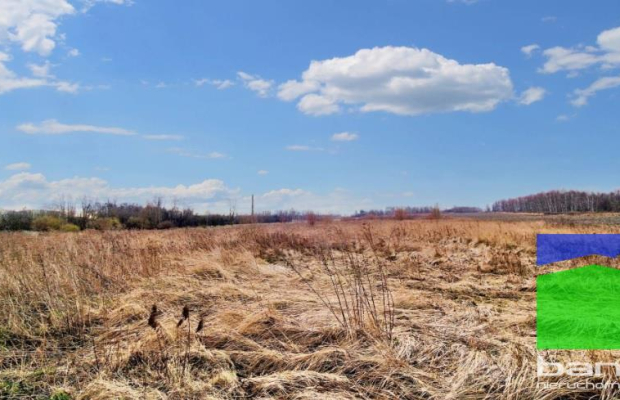 Smolice gm. Stryków - działka inwestycyjna 2,92 ha