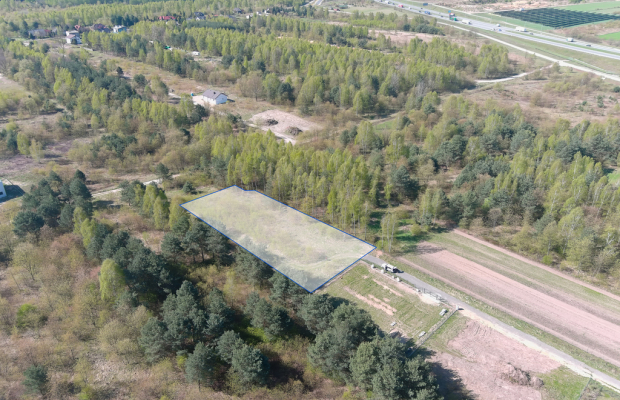 Nowa Gorzelnia k.Blachowni | Działka na sprzedaż