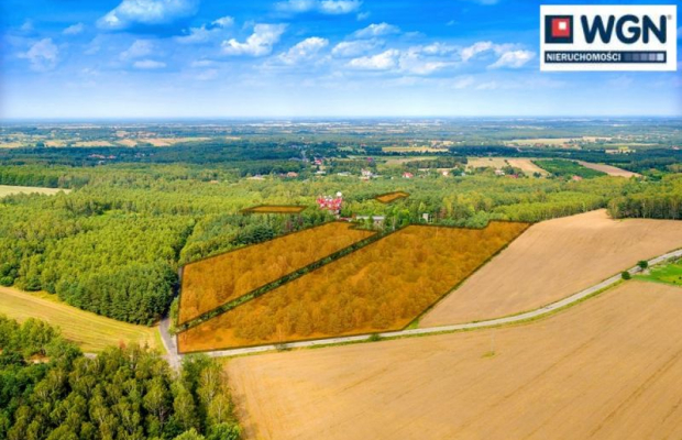 Dąbrowa - Kopanka, grunt inwestycyjny, 33 031 m2, sprzedam, 2 000 000 zł, netto.  
  
Na sprzedaż działki o łącznej powierzchni