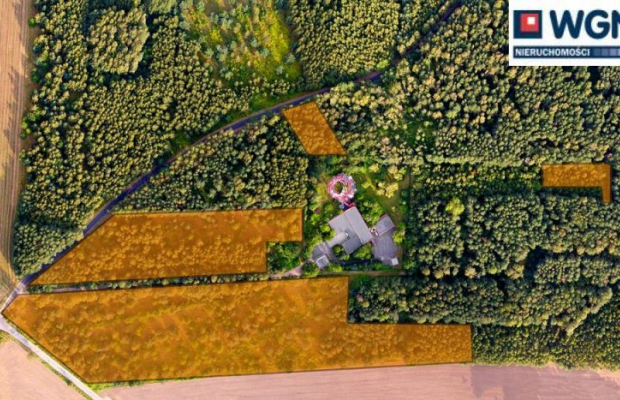 Dąbrowa - Kopanka, grunt inwestycyjny, 33 031 m2, sprzedam, 2 000 000 zł, netto.  
  
Na sprzedaż działki o łącznej powierzchni