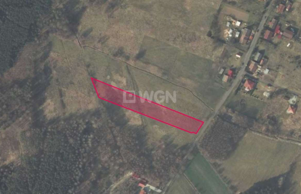 Krzywczyce, działa budowlana, 4479 m2, sprzedam, 130 000 zł  
  
Na sprzedaż działka rolna, z wydanymi warunkami zabudowy na do
