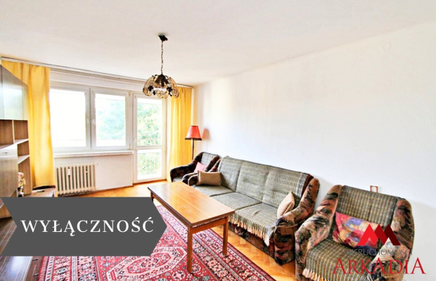Na sprzedaż 2 pokoje ,53 m2, balkon loggia,Centrum