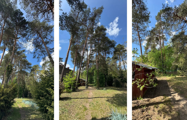 Posiadłość 2500m2 | Zadbany Dom z Lasem