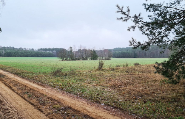 Działka 1743 m2, Pieńki