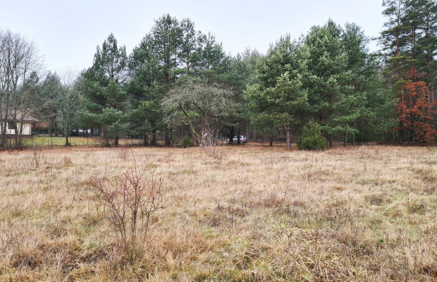 Działka 1743 m2, Pieńki